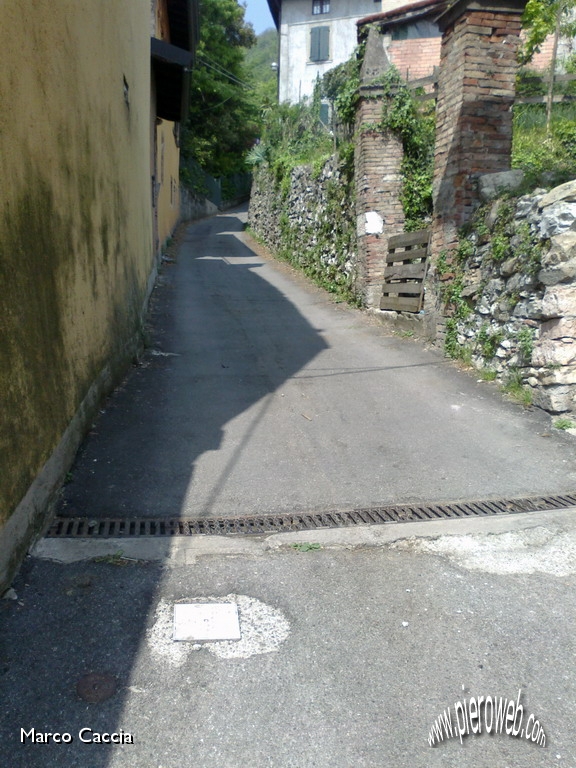 03_Verso il bosco.jpg